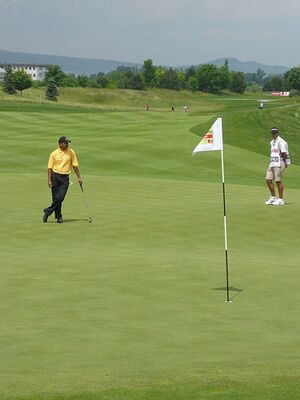 Golfturnier 2008.jpg