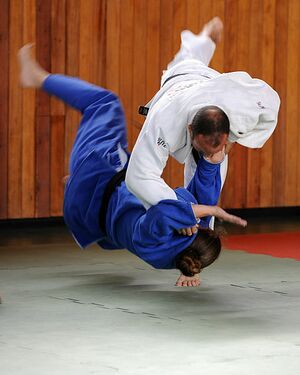 Judo Wurf.jpg