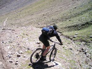 Mountainbiker1.jpg