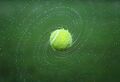 Tennisball nass.jpg