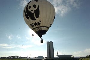 Ballon mit WWF Logo über Brasilien.jpg