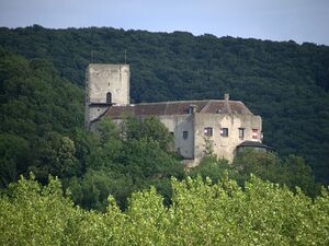 Burg Greifenstein NÖ.jpg
