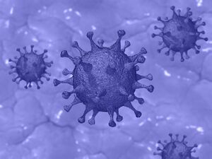 Corona Virus lila.jpg