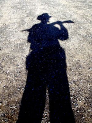 Cowboy Schatten.jpg