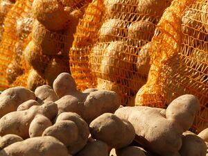 Kartoffeln Markt.jpg