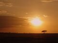 Kenia Sonnuntergang.jpg