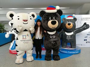Maskottchen Pyeongchang 2018.jpg