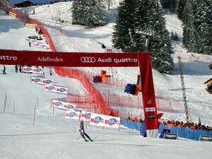 Ski Alpin Zieleinfahrt.jpg