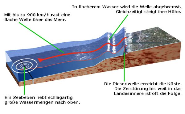 Tsunami/einfach – KiwiThek